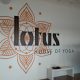 Lotus house of youga interior wall wrap